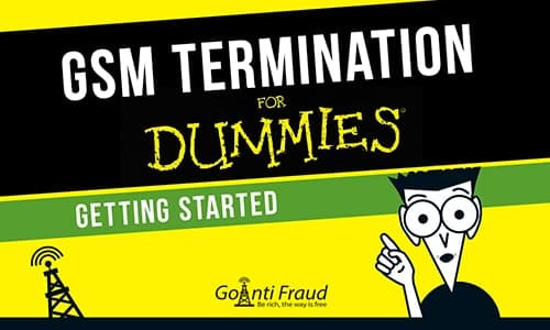 GSM Termination for "Dummies": Getting Started